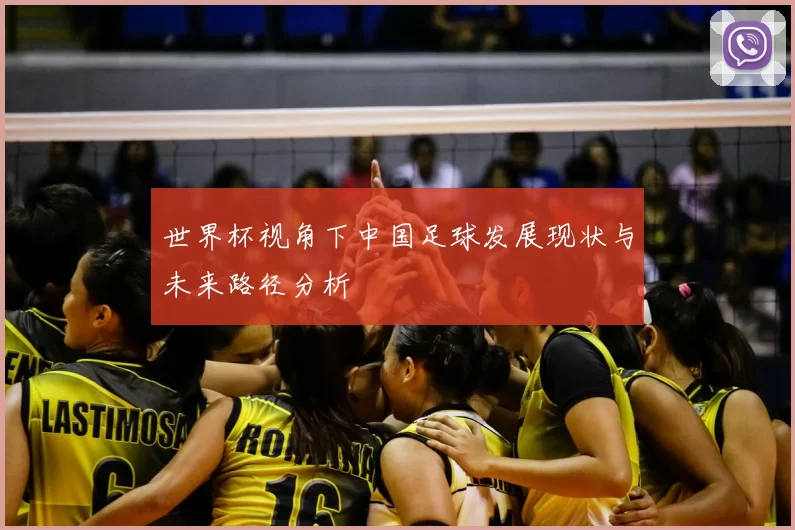 世界杯视角下中国足球发展现状与未来路径分析