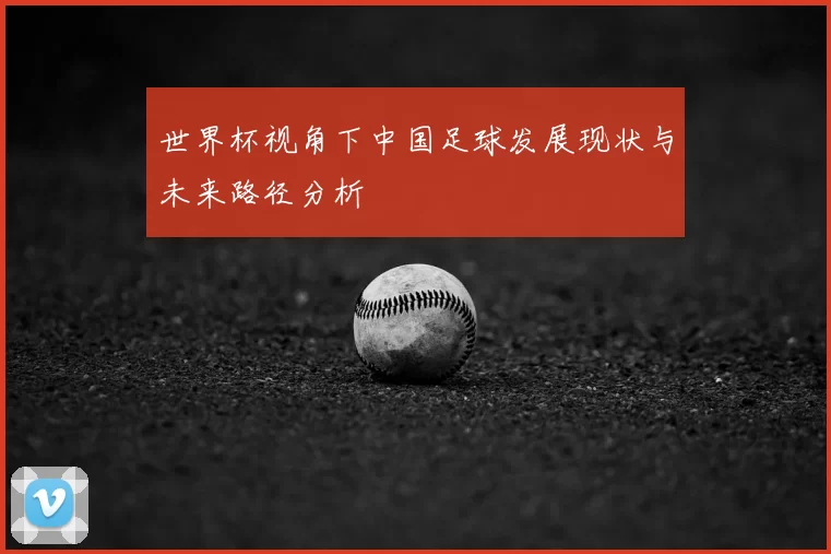 世界杯视角下中国足球发展现状与未来路径分析